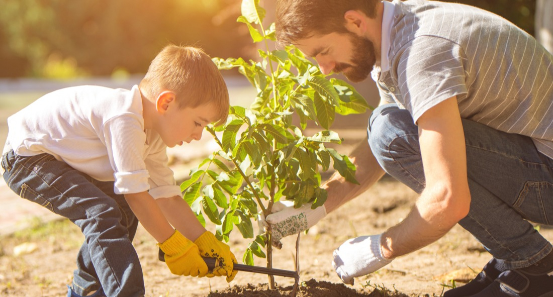 Spax Aco Boutique -Spax Aco Boutique ensoleillement et plantation